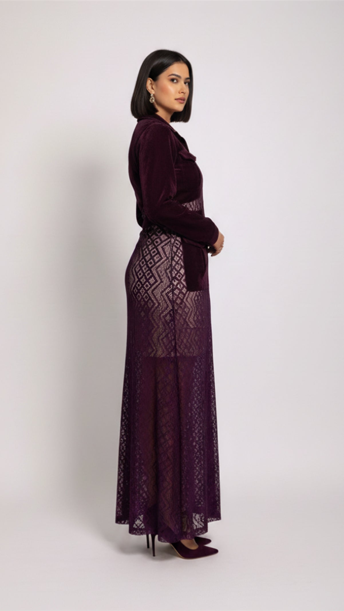 Sheer Net Velvet Dress