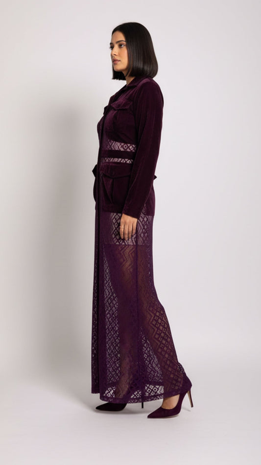 Sheer Net Velvet Dress